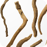 KSM-66® Ashwagandha